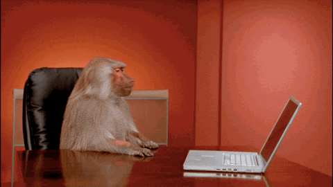 Office Monkey GIF by Mashable.gif__PID:4364669e-a982-45bc-b084-34c59622fd42