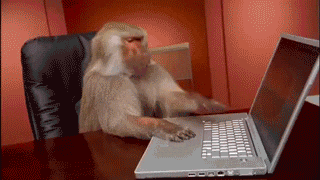 giphy.gif__PID:90cde354-5c4e-48b7-8169-cc6274ede2f9